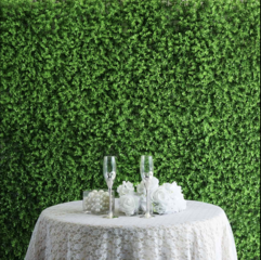 Boxwood Hedge Garden Wall Mat Backdrop (Baby Gem)