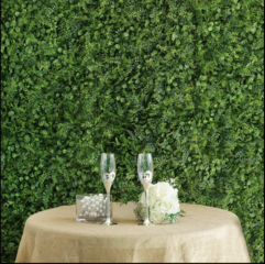 Boxwood Hedge Garden Wall Mat Backdrop (Locust Cypress)