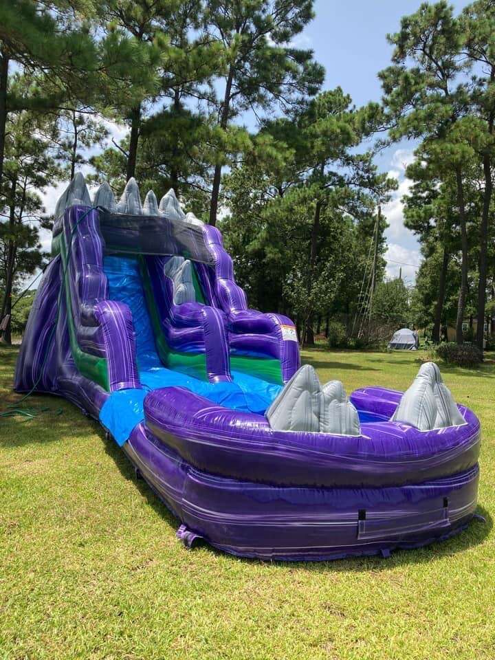   Inflatable Party Rental Columbus GA: Exciting Selections for All Occasions!