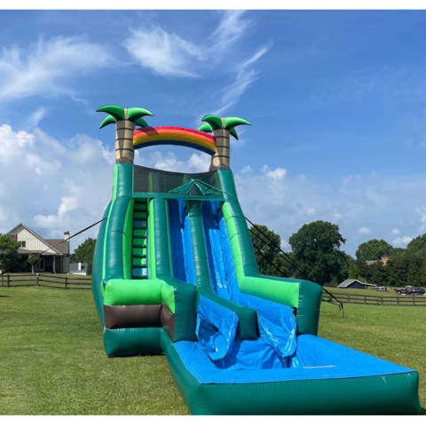 22ft tropical double lane water slide 
