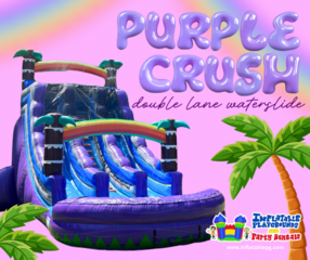 20ft Purple Crush Double Lane Waterslide