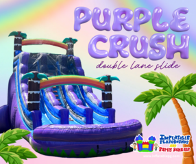 20ft Purple Crush Double Lane Dry Slide