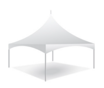 20 x 20 Canopy 