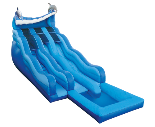 18' Dual Lane Dolphin Water slide with Pool (New This Year)