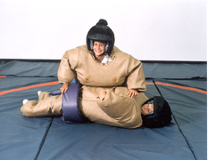 Sumo Wrestling