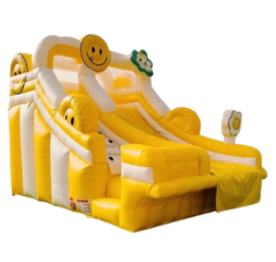 Sunny Smiles Slide