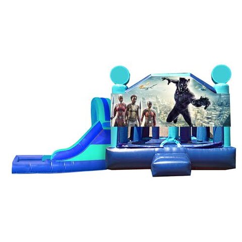 L&S - Black Panther Window w pool 32x17x17