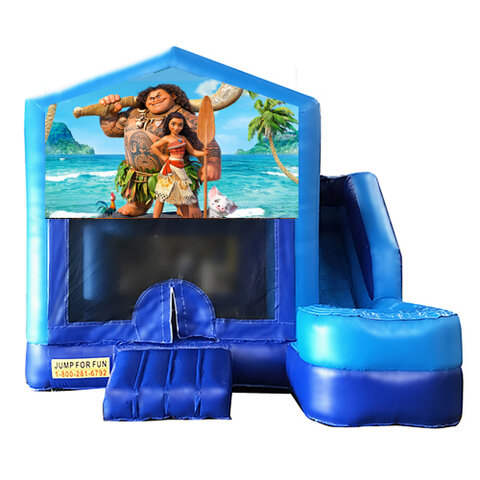 small comb - MOANA 16x16x15