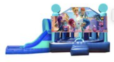 L&S -  Shimmer & Shine w pool16x33