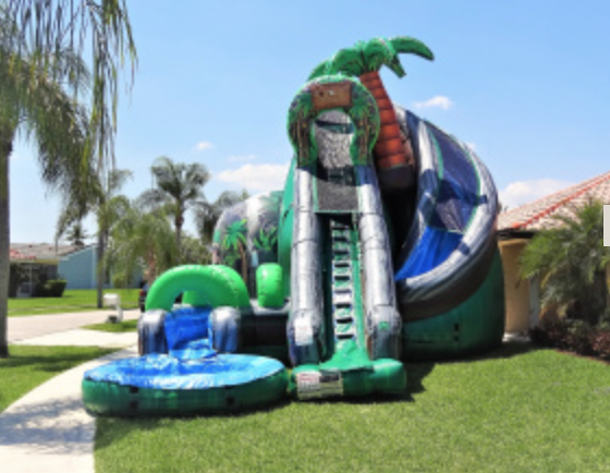 27  Coconut Falls water slide W Pool 26x 21x 27