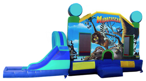 L&S - Madagascar 23x17x17 