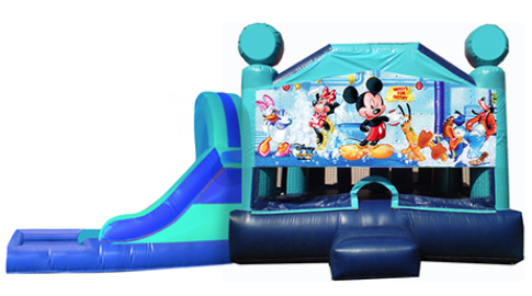 L&S - Mickey Mouse Window 32x17x17