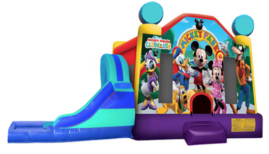 L&S - Mickey Park  32x17x17