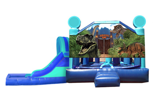 L&S - Jurassic Window 33x16x15