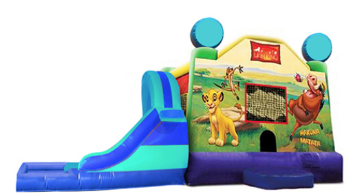 L&S - Lion King  32x17x17