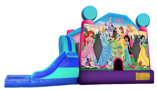 L&S - Disney Princess 2. 32x17x17
