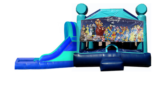 L&S - World of Disney Window 32x17x17