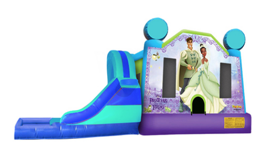 L&S - Princess and the Frog 32x17x17