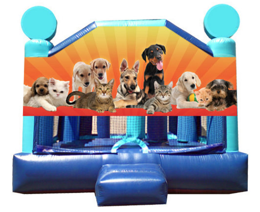 Obstacle Jumper - Puppies & Kittens Window  16x16x15
