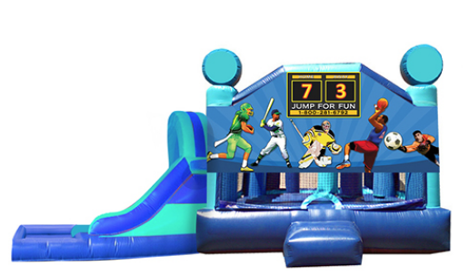 L&S - Sports 2 Window 32x17x17