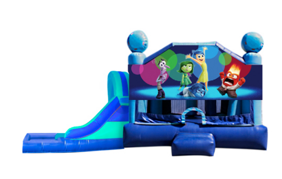 L&S - Inside Out 32x17x17