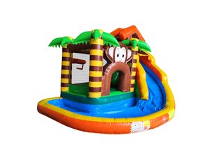 new Small Monkey comp w large pool 15-12-10