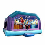 Little Kids Playhouse - World Of Disney Window 23x25x16
