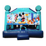 Jumper - Mickey Mouse Window 16x16x15