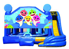 3 in 1  Combo - Baby Shark 20x20x17