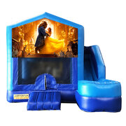 Small comb - Beauty and the Beast 16x16x15