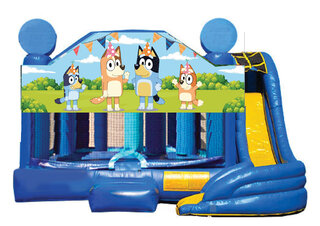 5  in 1 Obstacle comb - BLUEY 19x19 wet or dry