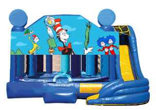 5  in 1 Obstacle comb - Cat in the Hat 19x19 wet or dry