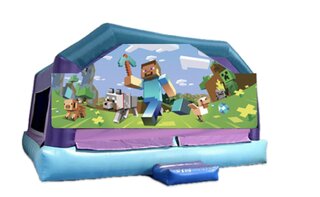 Little Kids Playhouse - Minecraft Window 23x25x16