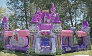  A DISNEY PRINCESS CASTLE  PLAYGROUND 24X24