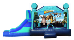 L&S - Madagascar Window 32x17x17