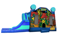 L&S - Ninja Turtles 32x17x17