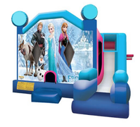5 in 1 Obstacle Combo - Frozen 20x20x17