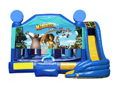 5 in 1 Obstacle Combo - Madagascar Window 20x20x17 