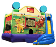 3 in 1 Combo - Lion King  20x20x17