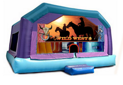 Gigantic Jump - Wild West window 20x20x17