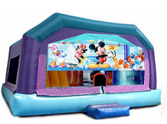 Gigantic Jump - Mickey Park  23x25x16