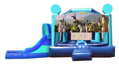 L&S - Shrek Window 32x17x17