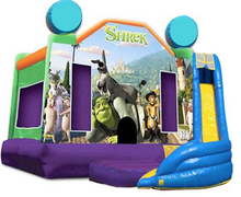 3 in 1 Combo - Shrek 20x20x17