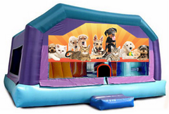 Gigantic Jump - Puppies & Kittens Window  20x20x