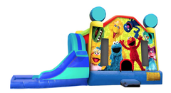 L&S - Sesame Street 32x17x17