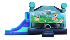 L&S - Spongebob Window  32x17x17