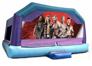 Little Kids Playhouse - Wrestling Window 23x25x16