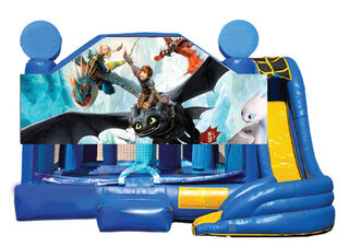5  in 1 Obstacle comb - How to Train Your Dragon 19x19 wet or dry