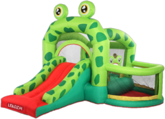 Frog Bounce House