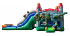Themed Bounce Houses